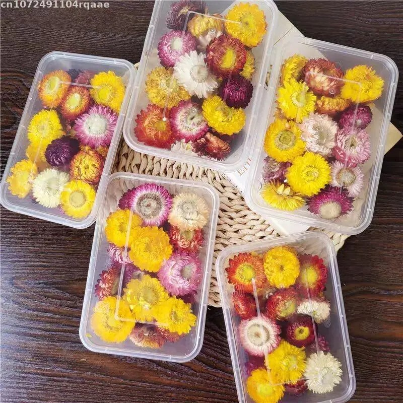 100% Natural Dried Flowers Bra – Candle Making Material Wholesale Bewertung und Preis