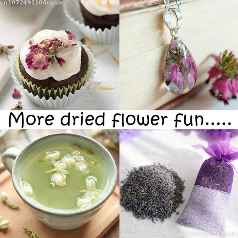 100% Natural Dried Flowers Bra – Candle Making Material Wholesale Bewertung und Preis