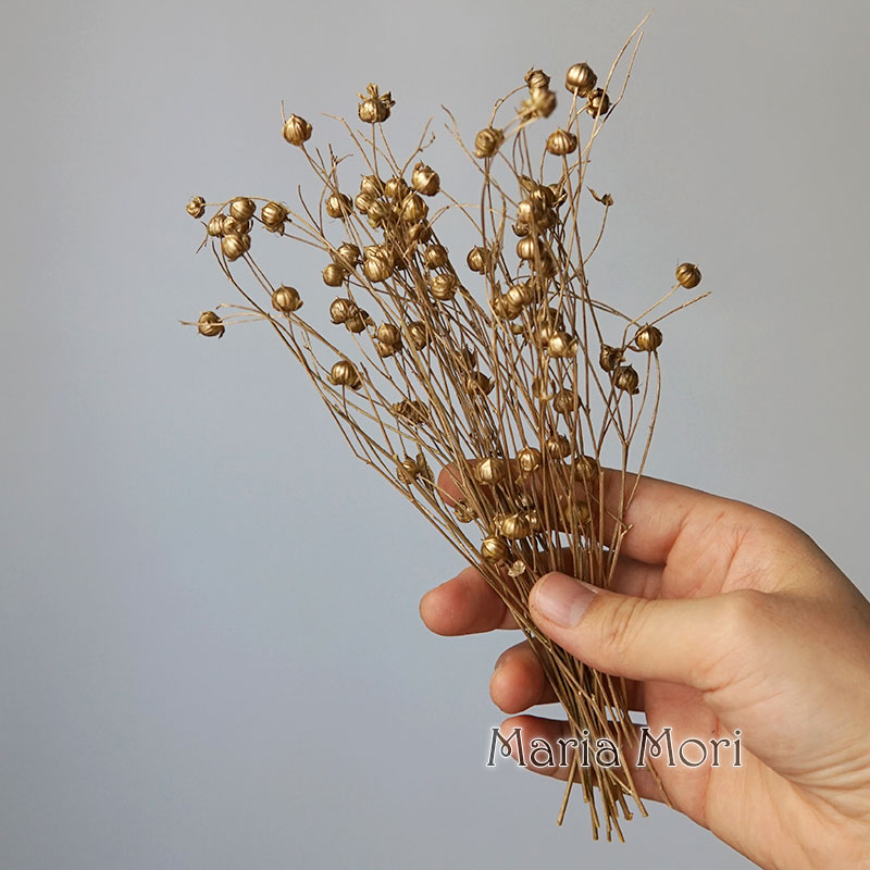 5g Preserved Flax Bean Natural – Candle Making Experience Bewertung und Preis