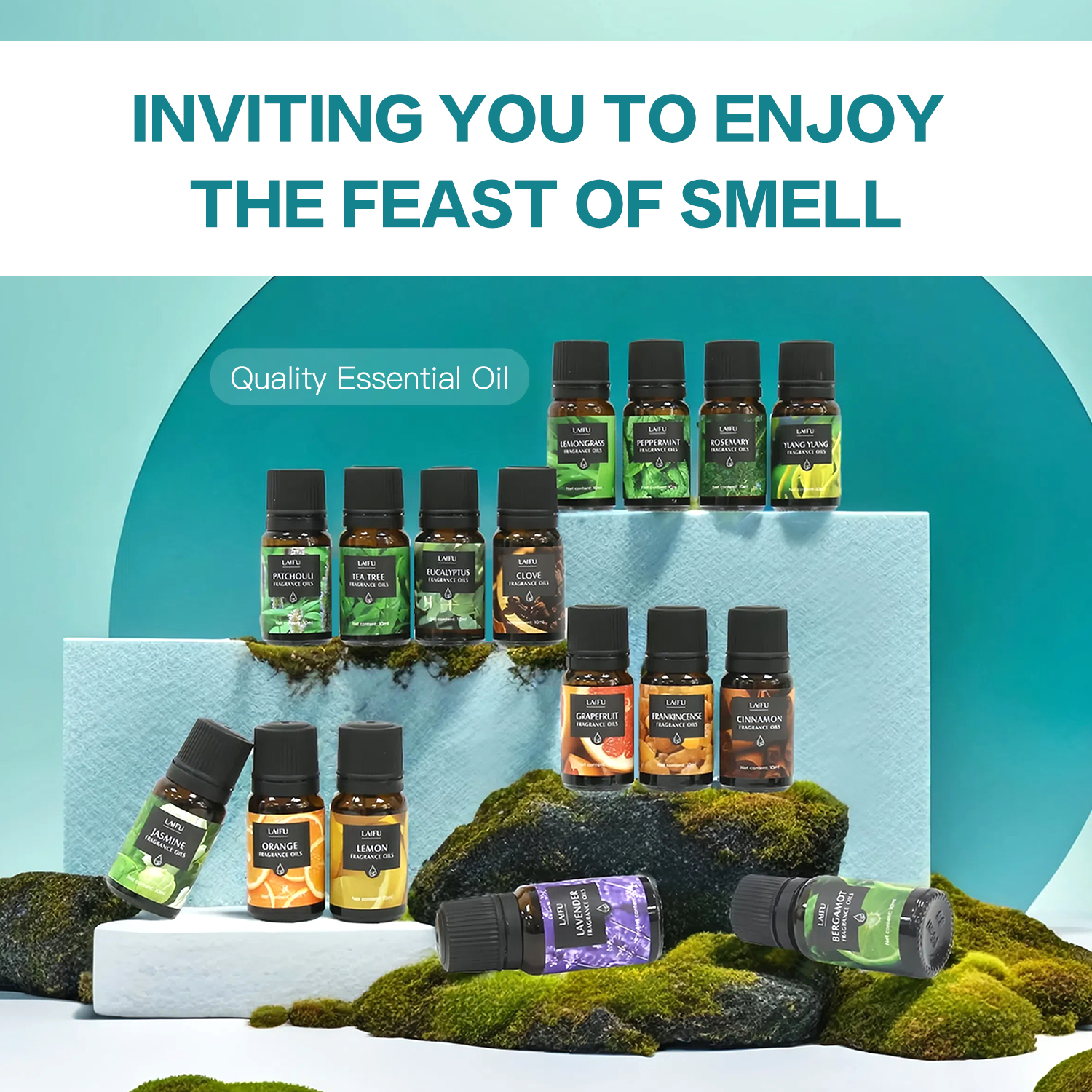16x10ml Essential Oils Set for – Candle Making And Perfume Bewertung und Preis