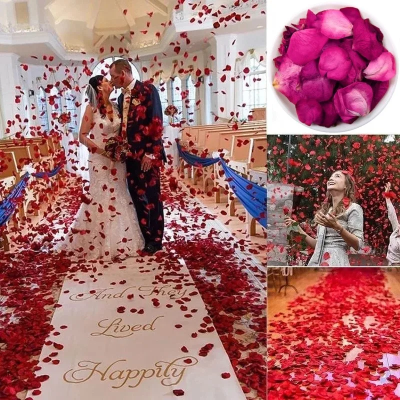Natural Dried Rose Petals for  – Candle Making And Perfume Bewertung und Preis