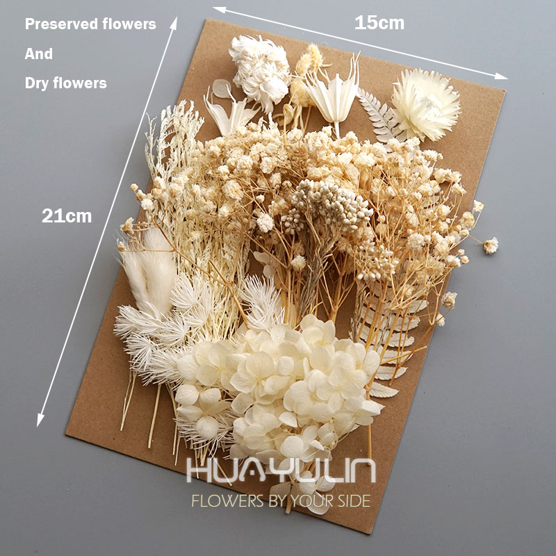 1 Pack Artificial Plants Dried – Candle Making Experience Bewertung und Preis